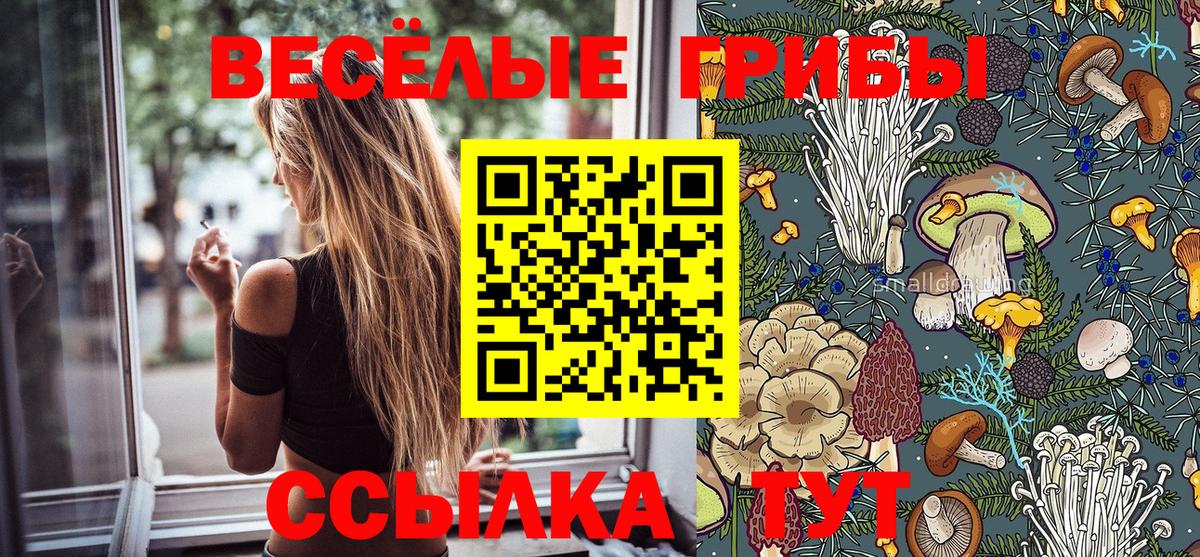 Галлюциногенные грибы Psilocybe Нижнеудинск