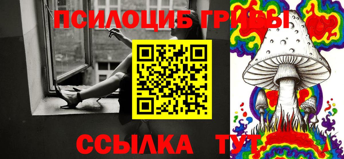 Нижнеудинск  Галлюциногенные грибы прущие грибы  Вход с VPN  Псилоцибиновые грибы мицелий 